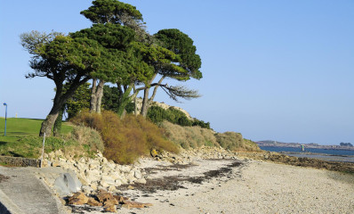 2148_Saint-Pol-de-Léon, plage 165_1600x1063.jpg