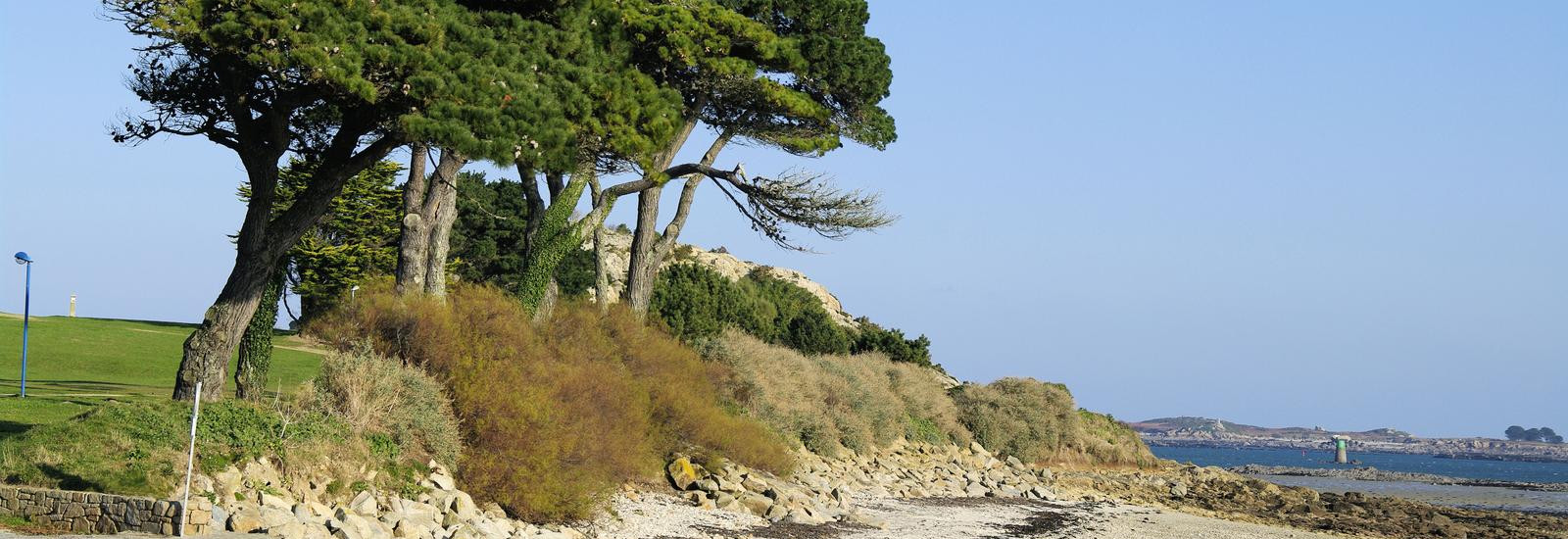 2148_Saint-Pol-de-Léon, plage 165_1600x1063.jpg