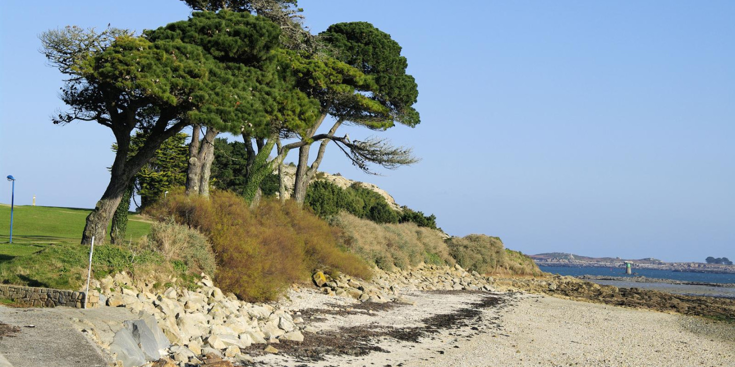 2148_Saint-Pol-de-Léon, plage 165_1600x1063.jpg